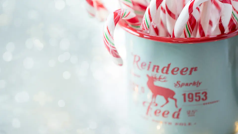 Rot-weiße Zuckerstangen in einer kleinen Tasse